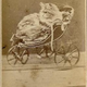 Illustration for article titled Even in the 1870s, humans were obsessed with ridiculous photos of cats